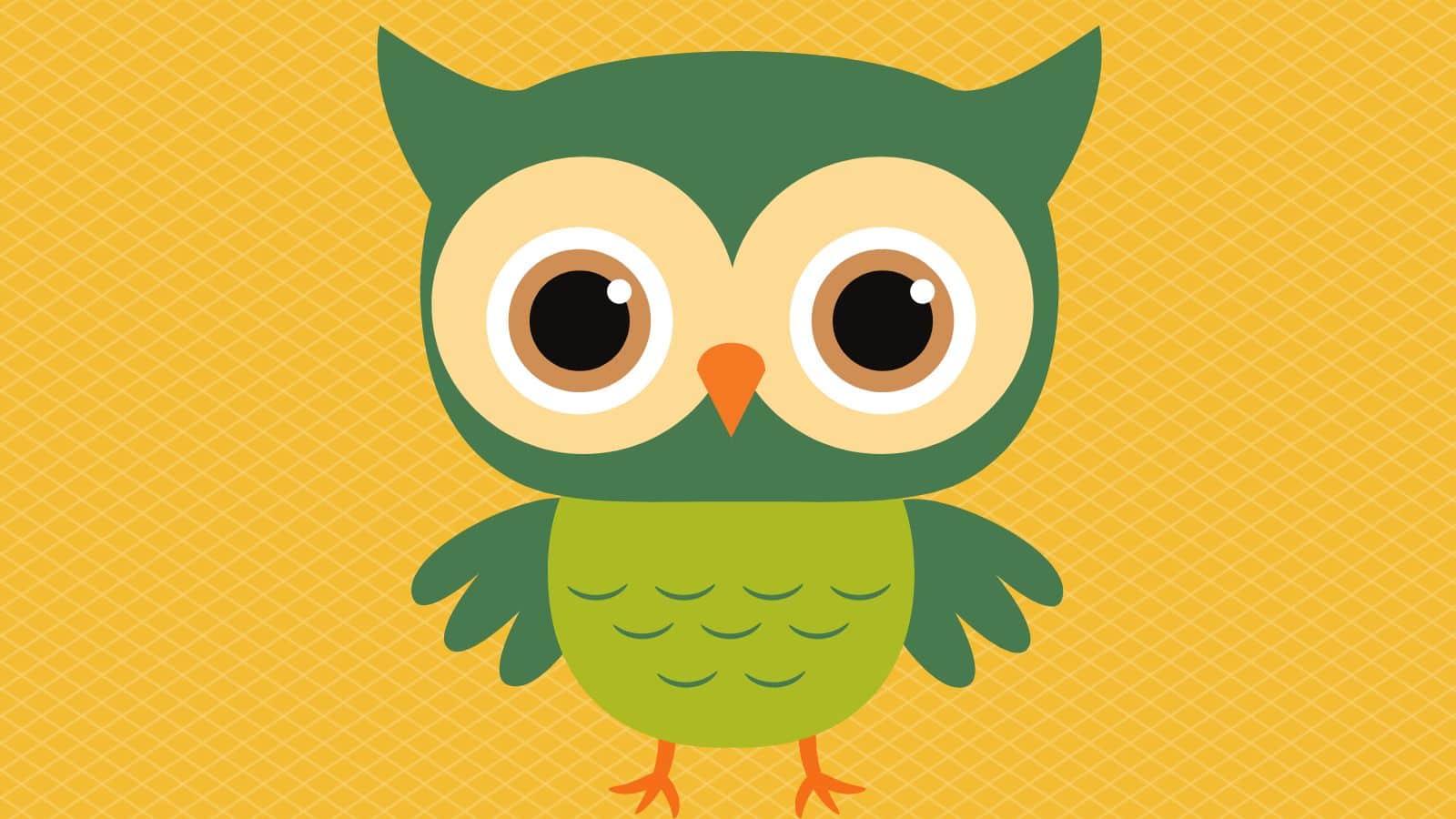 Little green owl