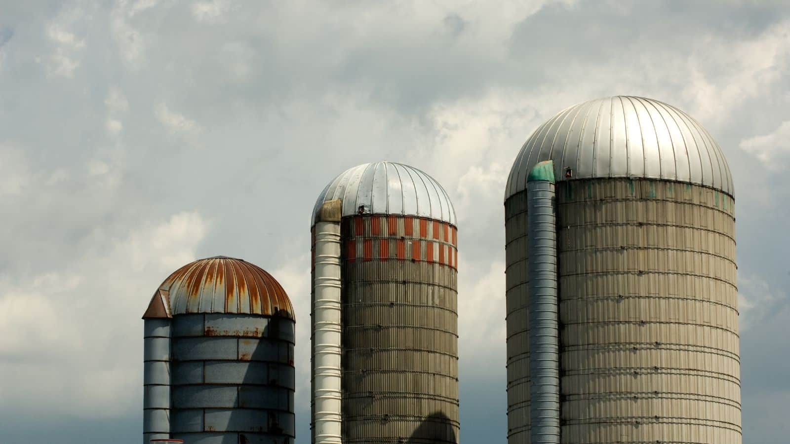 Image of three grey silos
